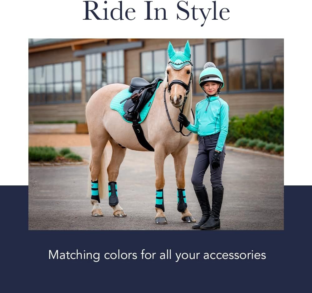 61nWvBdPDcL. AC SL1000 .jpg