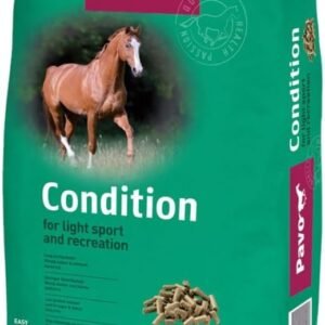 61nYod4ZP9L. AC SL1000 .jpg