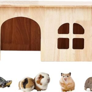 61ne0zw0c7L. AC SL1500 .jpg