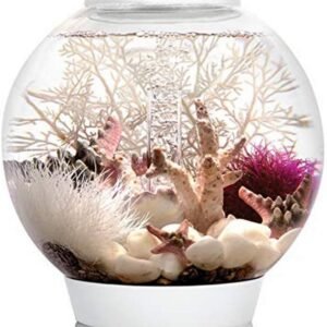 61ngjXL425L. AC SL1007 .jpg