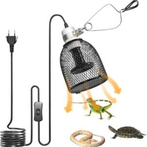 61noTXRKLyL. AC SL1000 .jpg