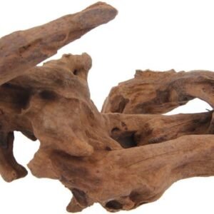 61nz3YTMBiL. AC SL1006 .jpg