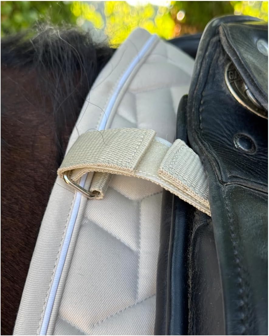 61o6ehVsnRL. AC SL1350 .jpg