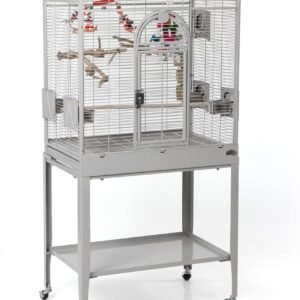 61obJX31LVL. AC SL1280 .jpg