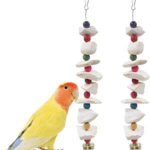 61obLSOYTlL. AC SL1500 .jpg