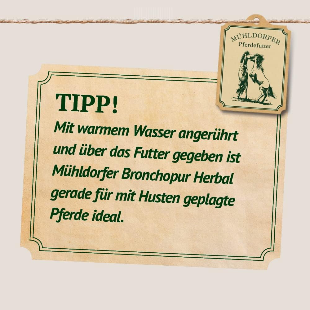 61omURg1nL. AC SL1000 .jpg