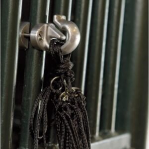 61opfxZpXAL. AC SL1024 .jpg