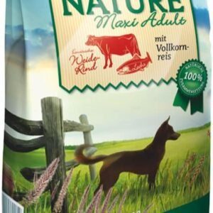 61p11RXHHpL. AC SL1107 .jpg