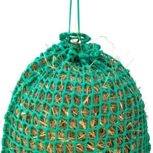 61p3UGbsMFL. AC SL1350 .jpg