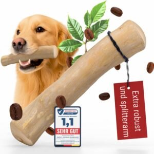 61pKj5decjL. AC SL1080 .jpg