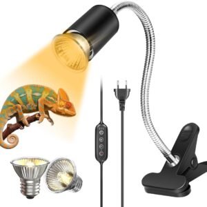 61pQpt2iSUL. AC SL1000 .jpg