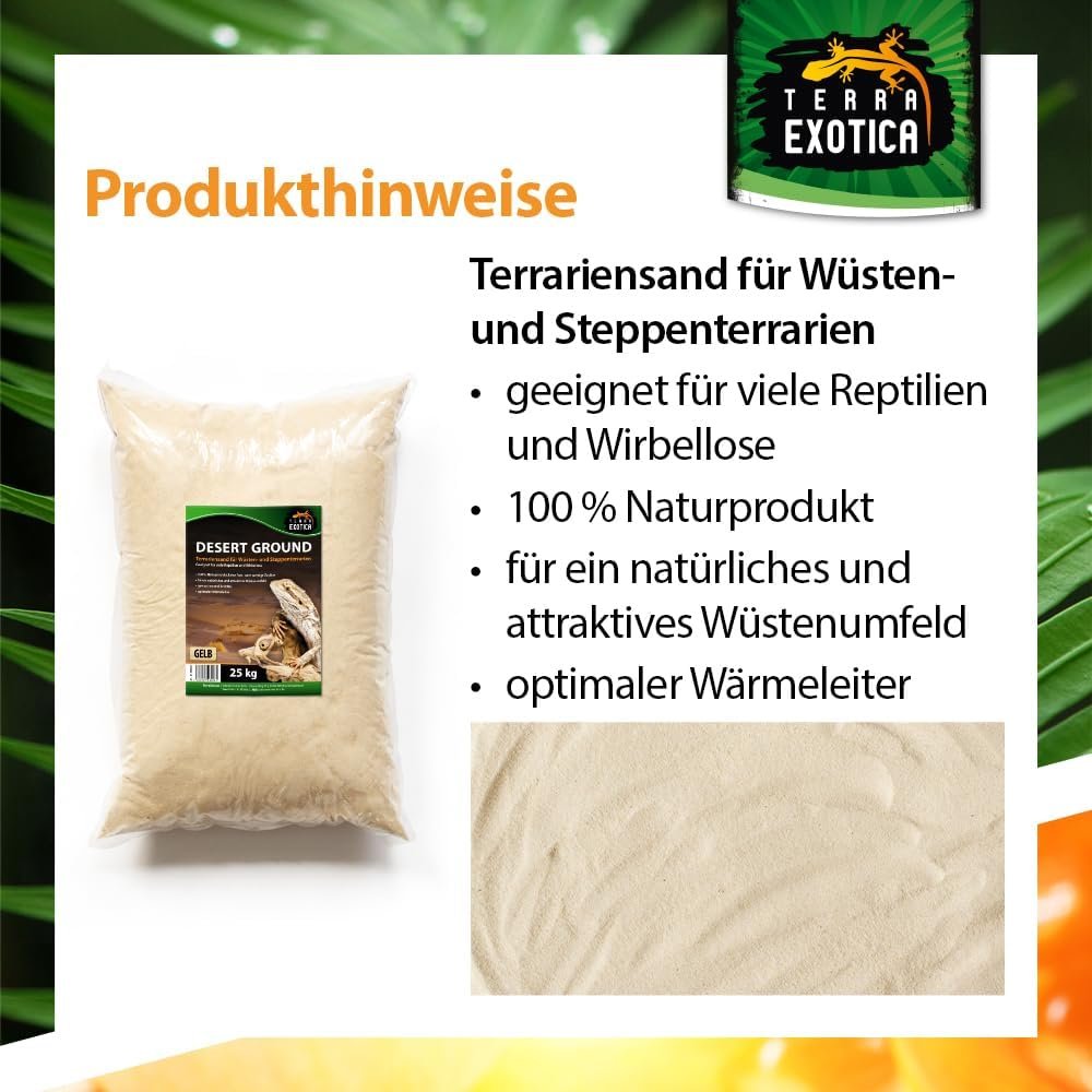 61pjTGjMeLL. AC SL1000 .jpg