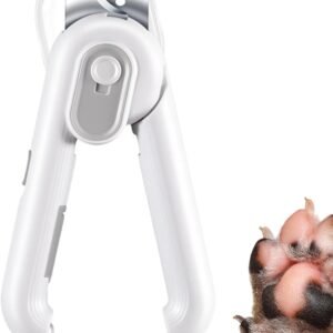 61poQnsXDZL. AC SL1500 .jpg