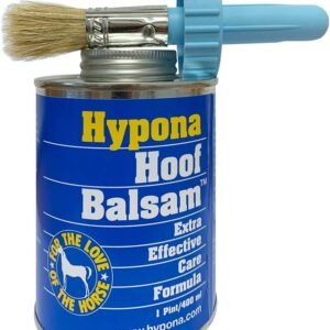 61q4MGB4NSL. AC SL1000 .jpg