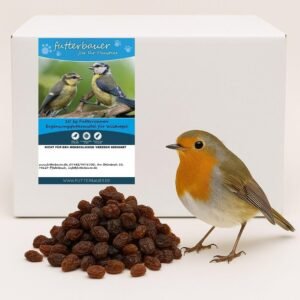 61q6hdXf1L. AC SL1024 .jpg