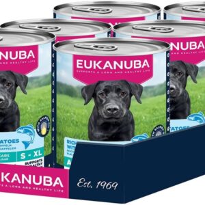 61q7EZGwBjL. AC SL1000 .jpg