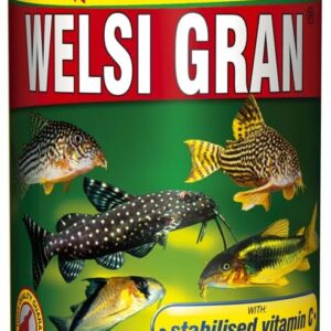 61qmPI4nO0L. AC SL1000 .jpg