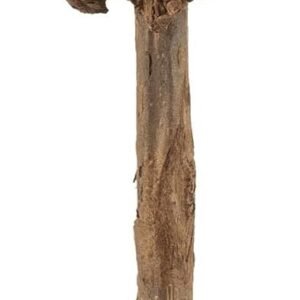 61qpTB11usS. AC SL1500 .jpg