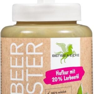 61r3xPEXPwL. AC SL1500 .jpg