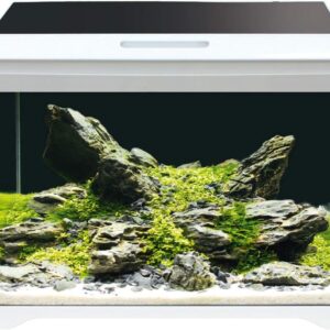 61rseJ n53L. AC SL1000 .jpg