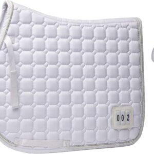 61ruRK064ML. AC SL1496 .jpg