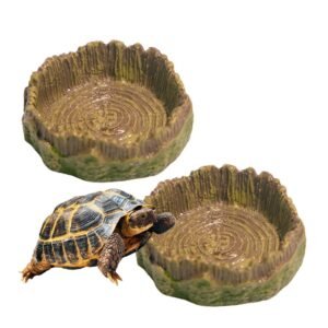 61sMH jRZQL. SL1100 .jpg