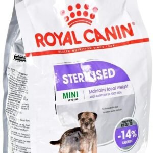 61sWMJAw8L. AC SL1200 .jpg