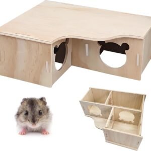 61ssUz00OLL. AC SL1500 .jpg