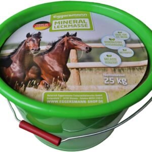 61suUwqJ55L. AC SL1200 .jpg