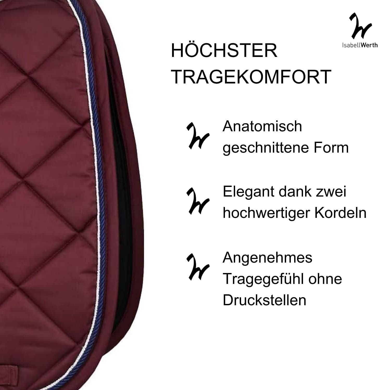 61t1TKxI8AL. AC SL1500 .jpg