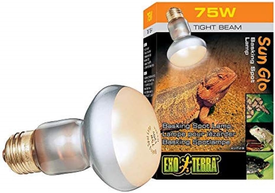 61tBQdJUNFL. AC SL1000 .jpg