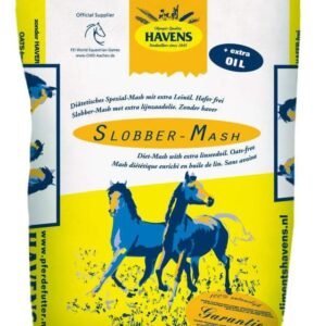 61tSqIZ9JjL. AC SL1000 .jpg