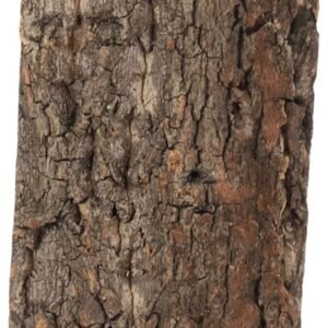 61tnkOuNE2L. AC SL1260 .jpg