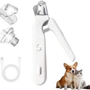 61uFLGOvreL. AC SL1500 .jpg