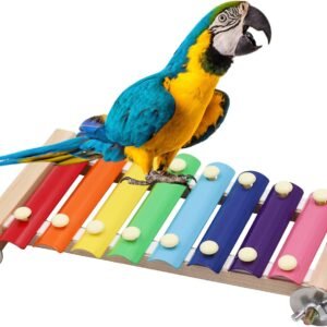 61uRsuor2TL. AC SL1500 .jpg