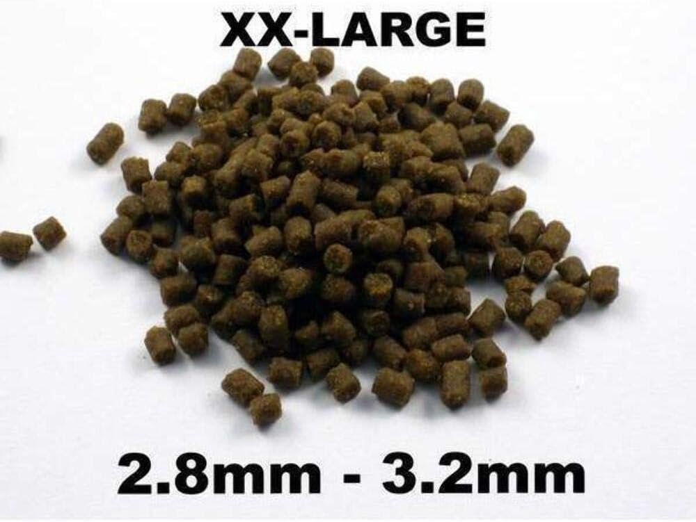 61ujSqelzhL. AC SL1000 .jpg