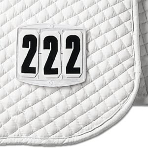 61uqbZ4pksL. AC SL1500 .jpg