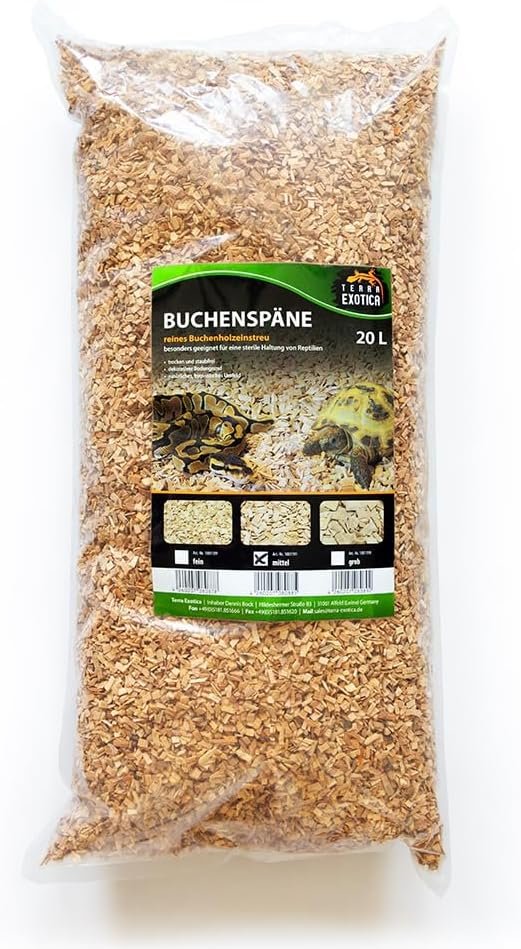 61v7JhfteoL. AC SL1000 .jpg