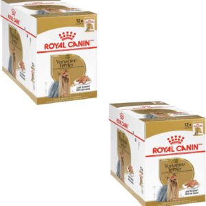 61vEcSGy1OL. AC SL1500 .jpg