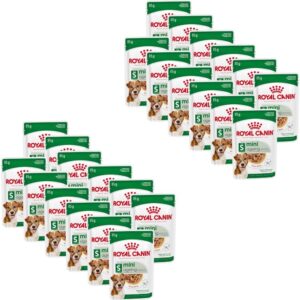 61vcPLCLHsL. AC SL1080 .jpg