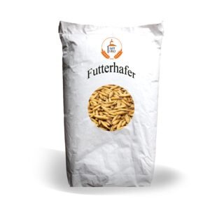 61vmF9SZeVL. SL1500 .jpg