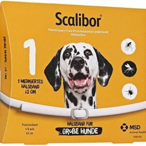 61w2 20fjfL. AC SL1000 .jpg