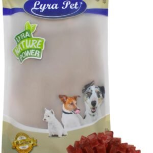 61wNDduRPL. AC SL1500 .jpg