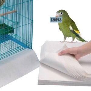 61wvQvURyAL. AC SL1000 .jpg