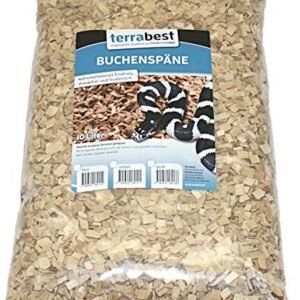 61xyD5BpqEL. AC .jpg