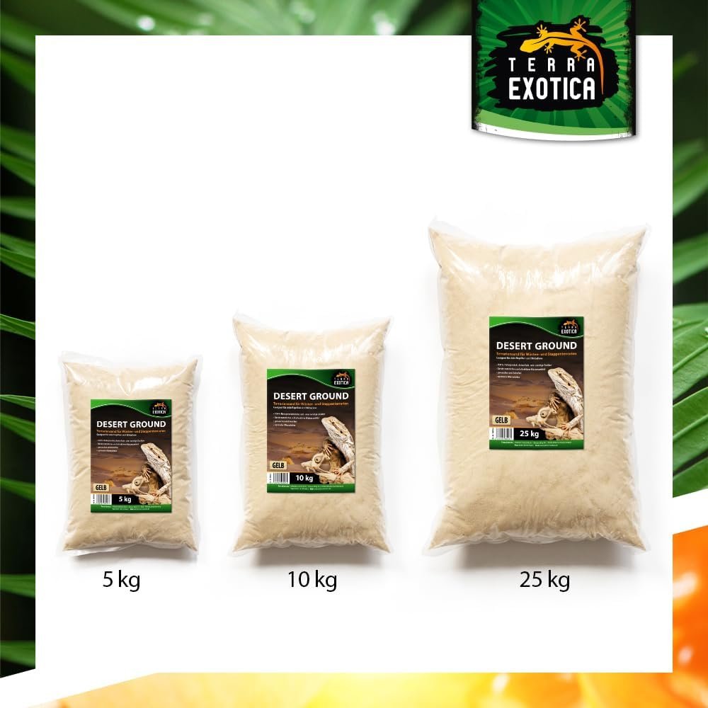 61yLc7ApY6L. AC SL1000 .jpg