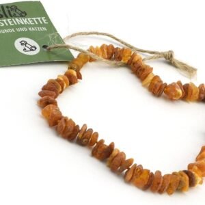 61ycZXAZuOL. AC SL1500 .jpg