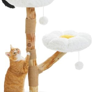 61yzWW3sZML. AC SL1500 .jpg