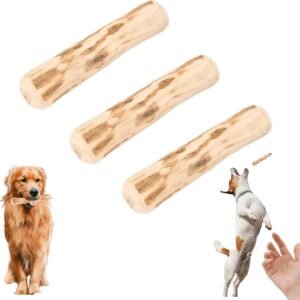 61zNolyA3XL. AC SL1500 .jpg