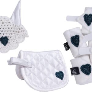 61zeA9iGxsL. AC SL1500 .jpg